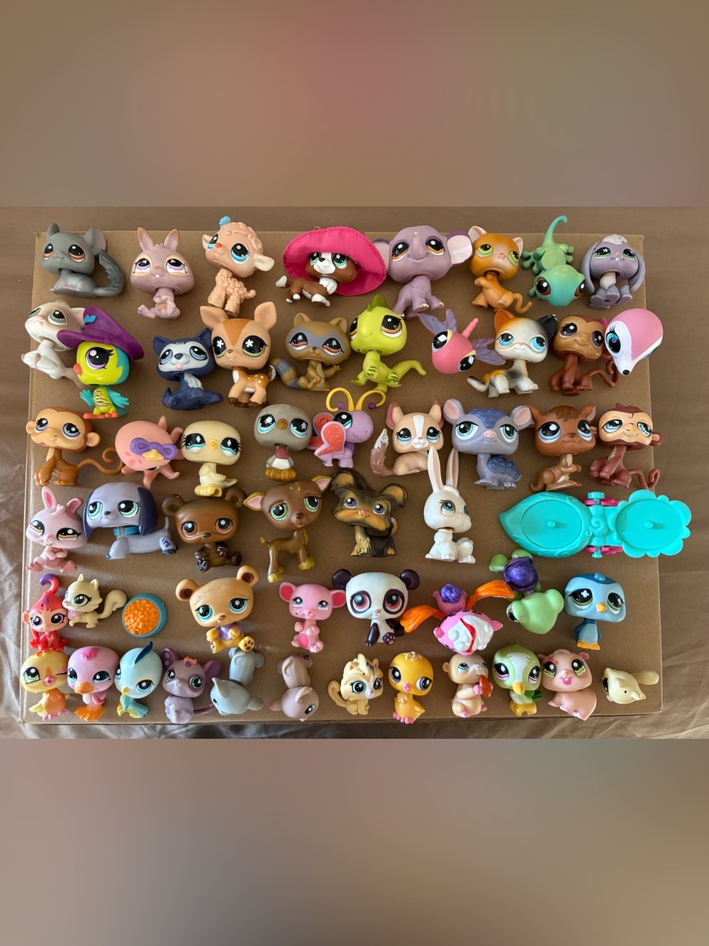 Littlest Pet Shop Large Assorted Pets Toy Set -+ 2 Accessories